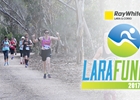 Lara banner 2014 Lara banner 2014